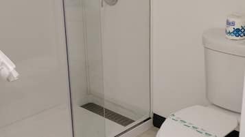 A modern bathroom with a glass-enclosed shower, a toilet with a paper towel holder, and a toilet paper roll.