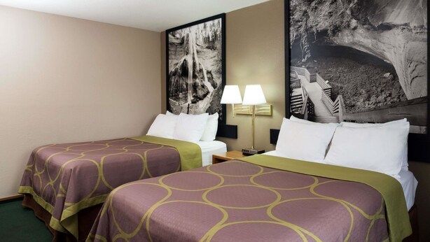 Ein Hotelzimmer mit zwei Betten, jedes mit einem violett-grünen Muster, einem Nachttisch mit Lampe und zwei großen Wandgemälden mit Naturmotiven.