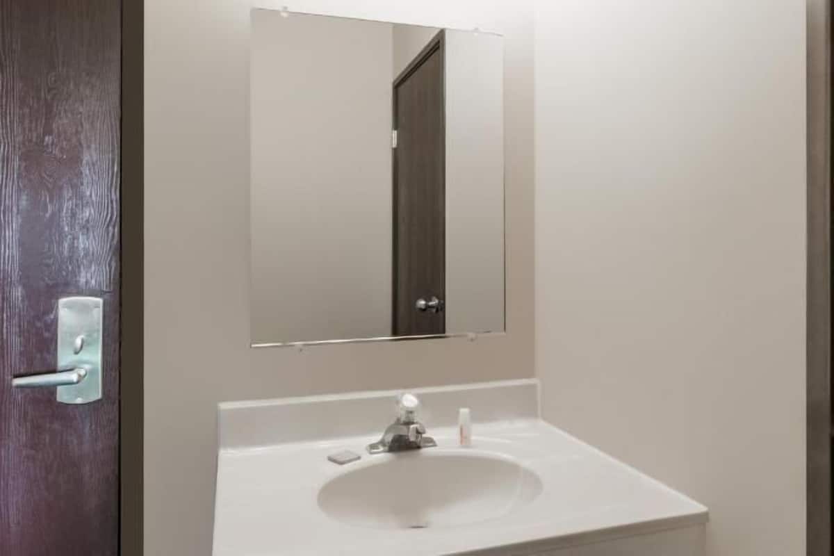 Bathroom | Combined shower/tub, free toiletries, hair dryer, towels