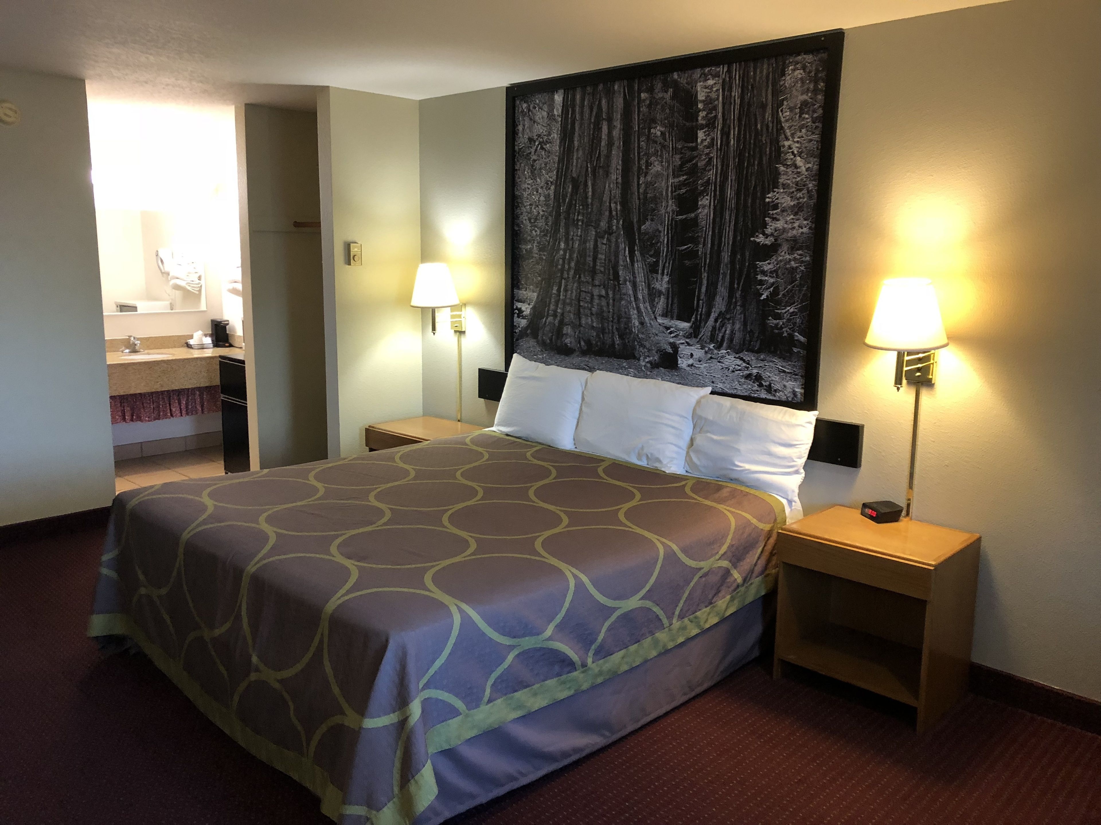 Ein Hotelzimmer mit einem großen Bett, zwei Nachttischen, einer Wandlampe und einem Waldgemälde.