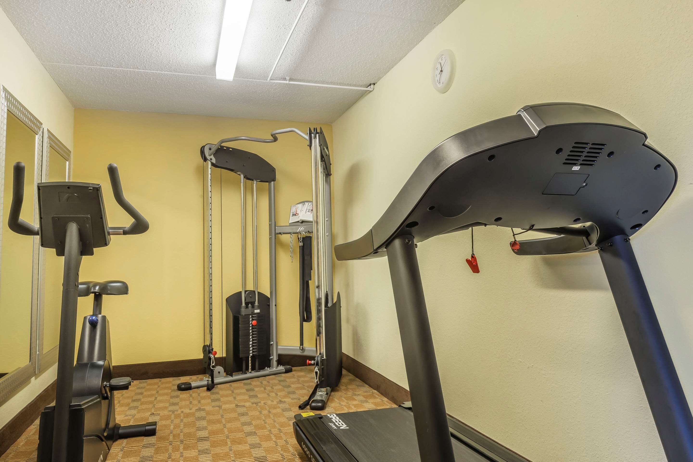A gym with a treadmill, elliptical, and weight machine.