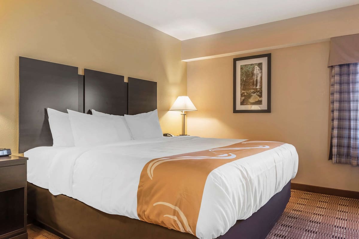 A hotel room with a large bed, a nightstand, a lamp, and a framed picture on the wall.