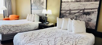 Hill Country Inn & Suites - New Braunfels / Gruene