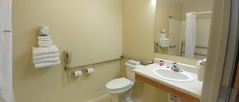 Une salle de bain équipée de toilettes, d’un lavabo et de barres d’appui.