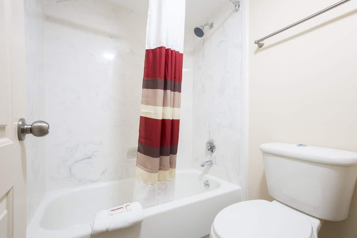 combined shower/bathtub, deep-soaking bathtub, hydromassage showerhead