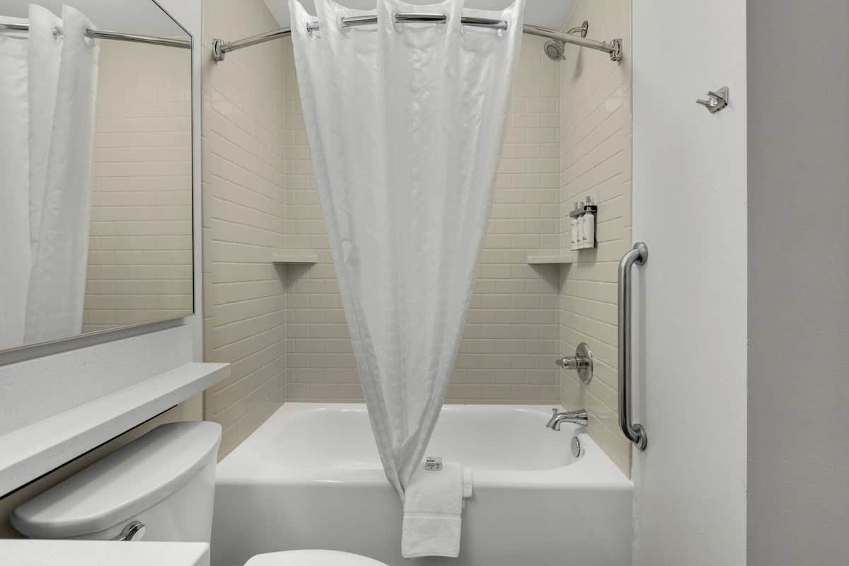 combined shower/bathtub, free toiletries, hair dryer, towels