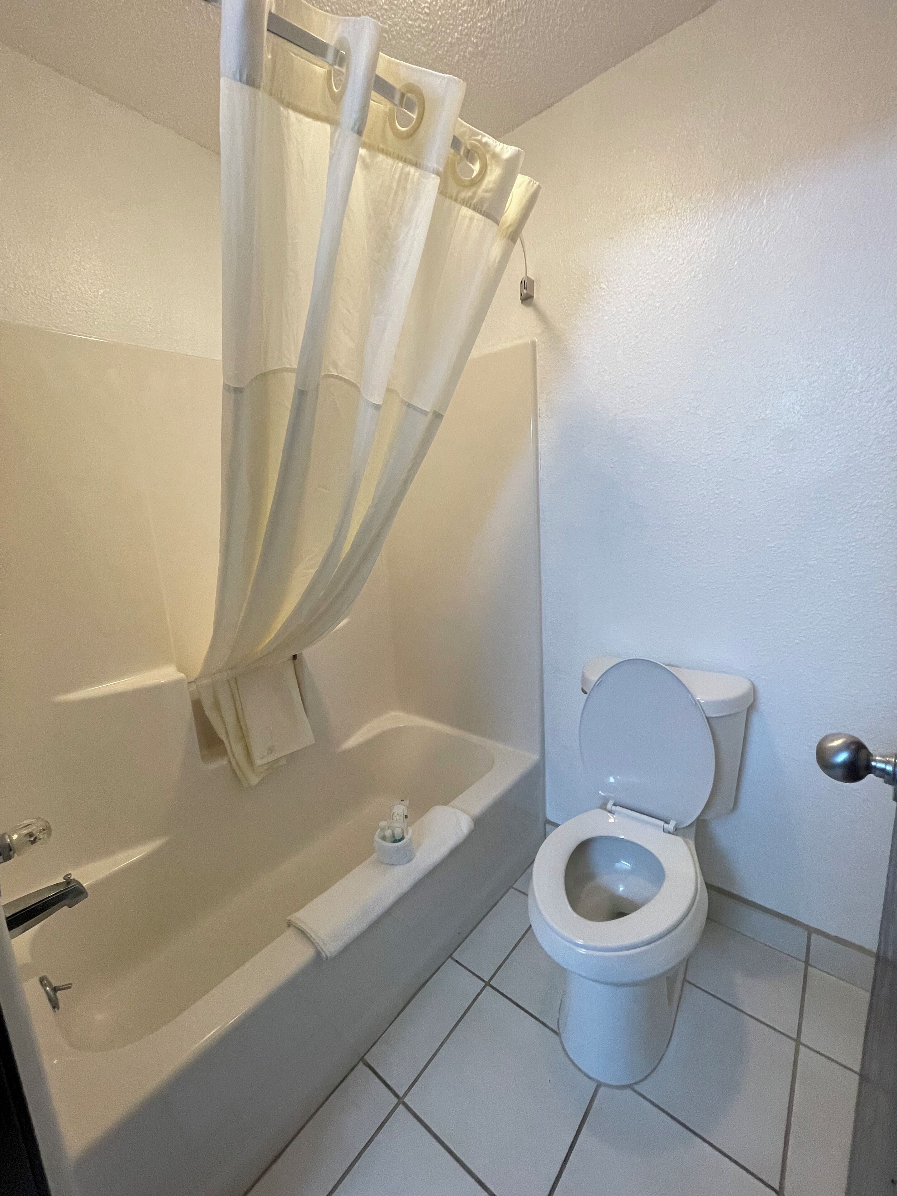 combined shower/bathtub, free toiletries, hair dryer, towels