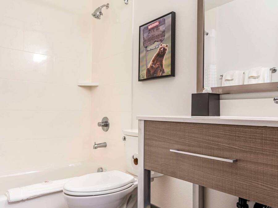 Un baño con inodoro blanco, ducha e lavabo con espejo.