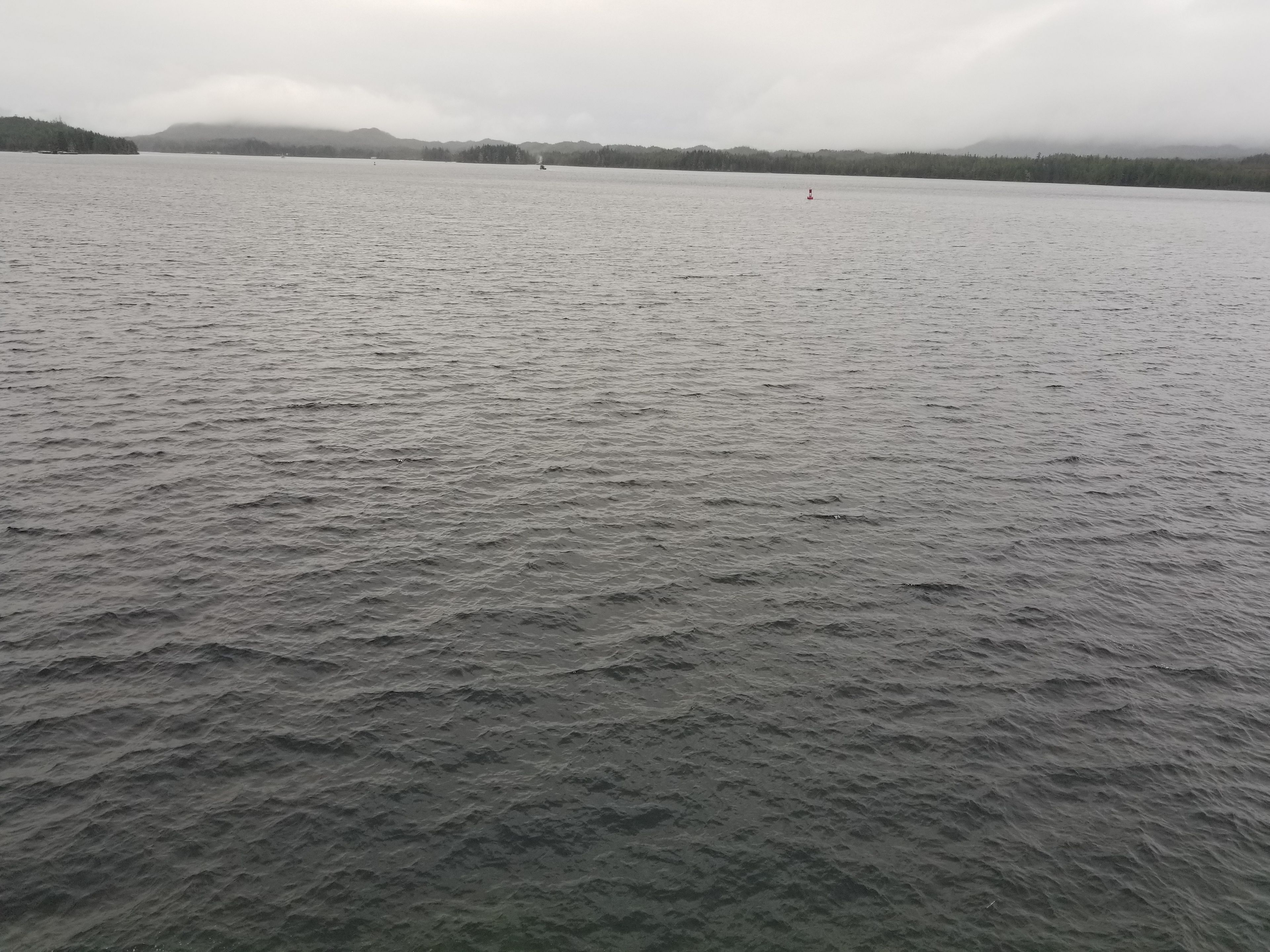 A calm lake with a forested shoreline and a small buoy in the distance.