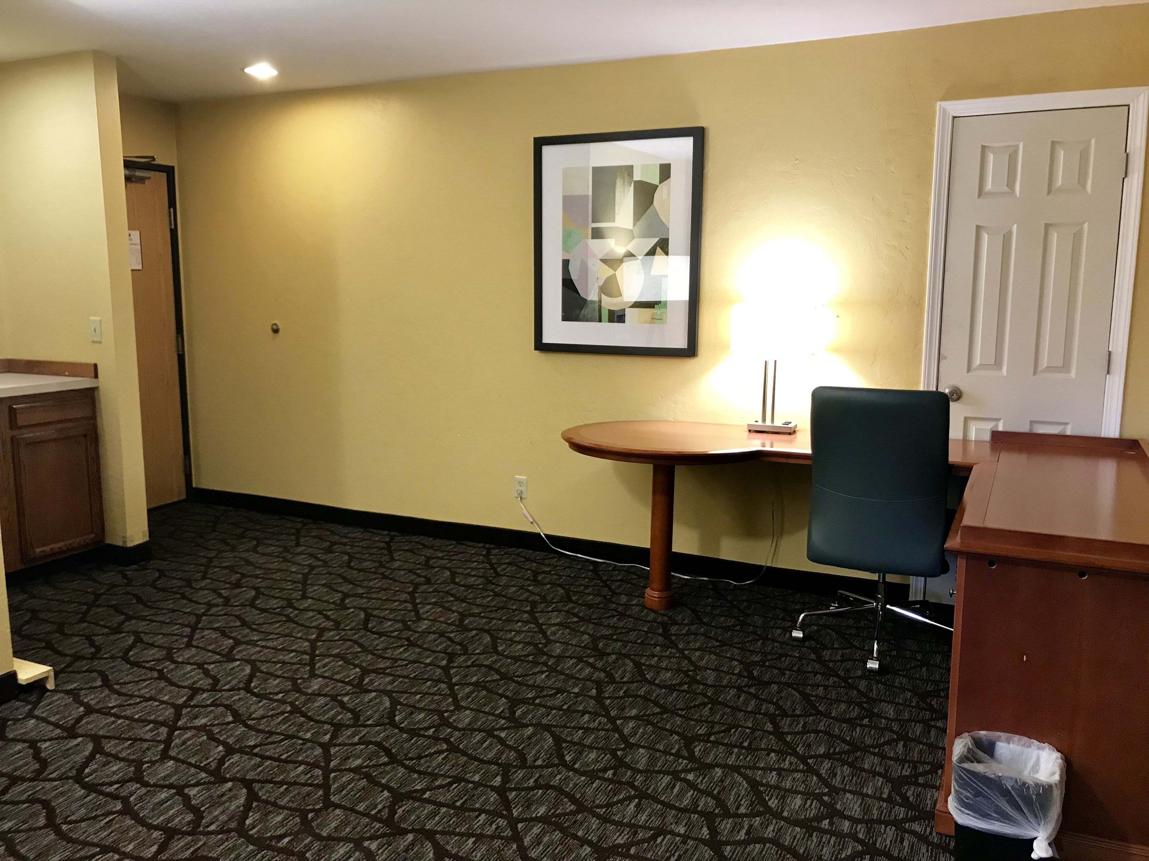 A hotel room with a patterned carpet, a desk with a chair, a framed artwork on the wall, and a door.