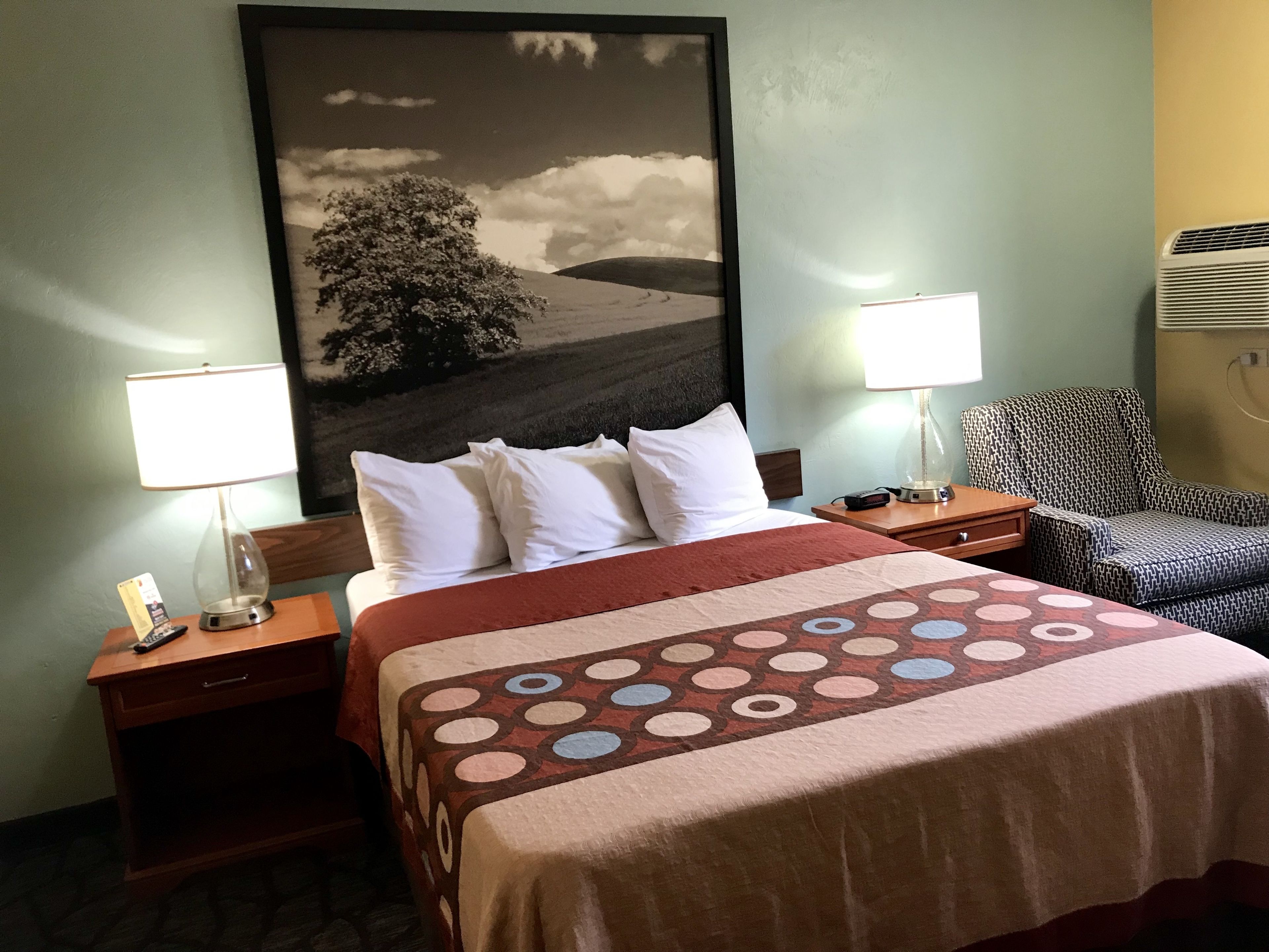 Een hotelkamer met een bed, twee nachtkastjes, een stoel, een luchtverkoeler aan de muur en een groot landschap.