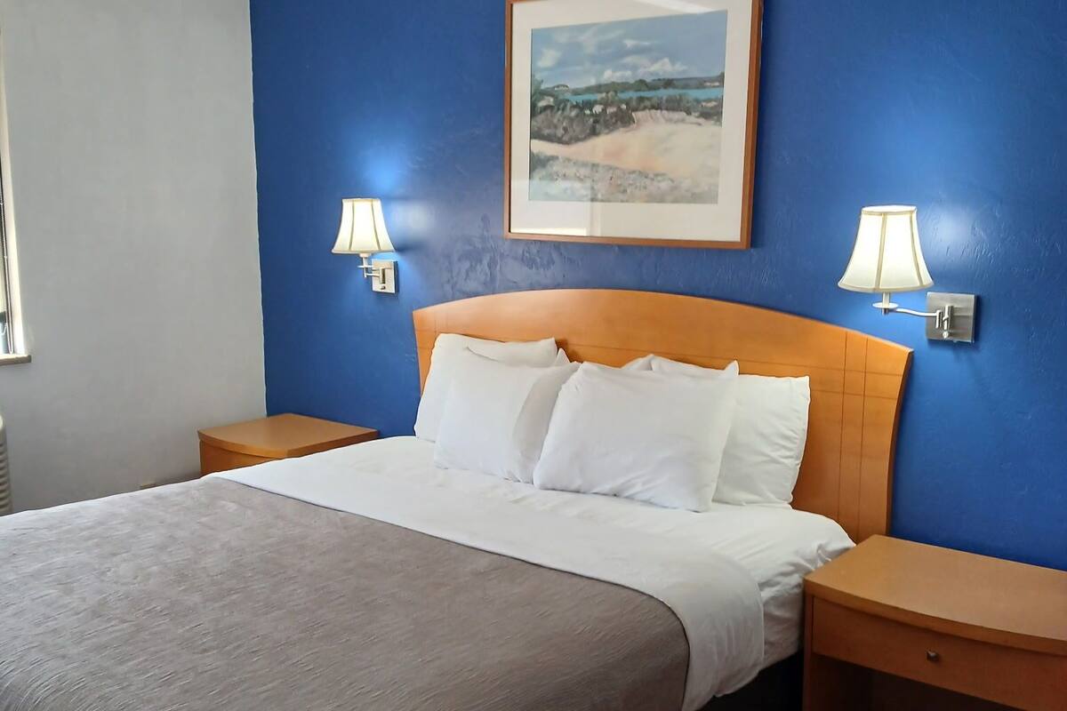 Room, 1 Queen Bed, Accessible, Non Smoking | Individually decorated, individually furnished, desk, laptop workspace