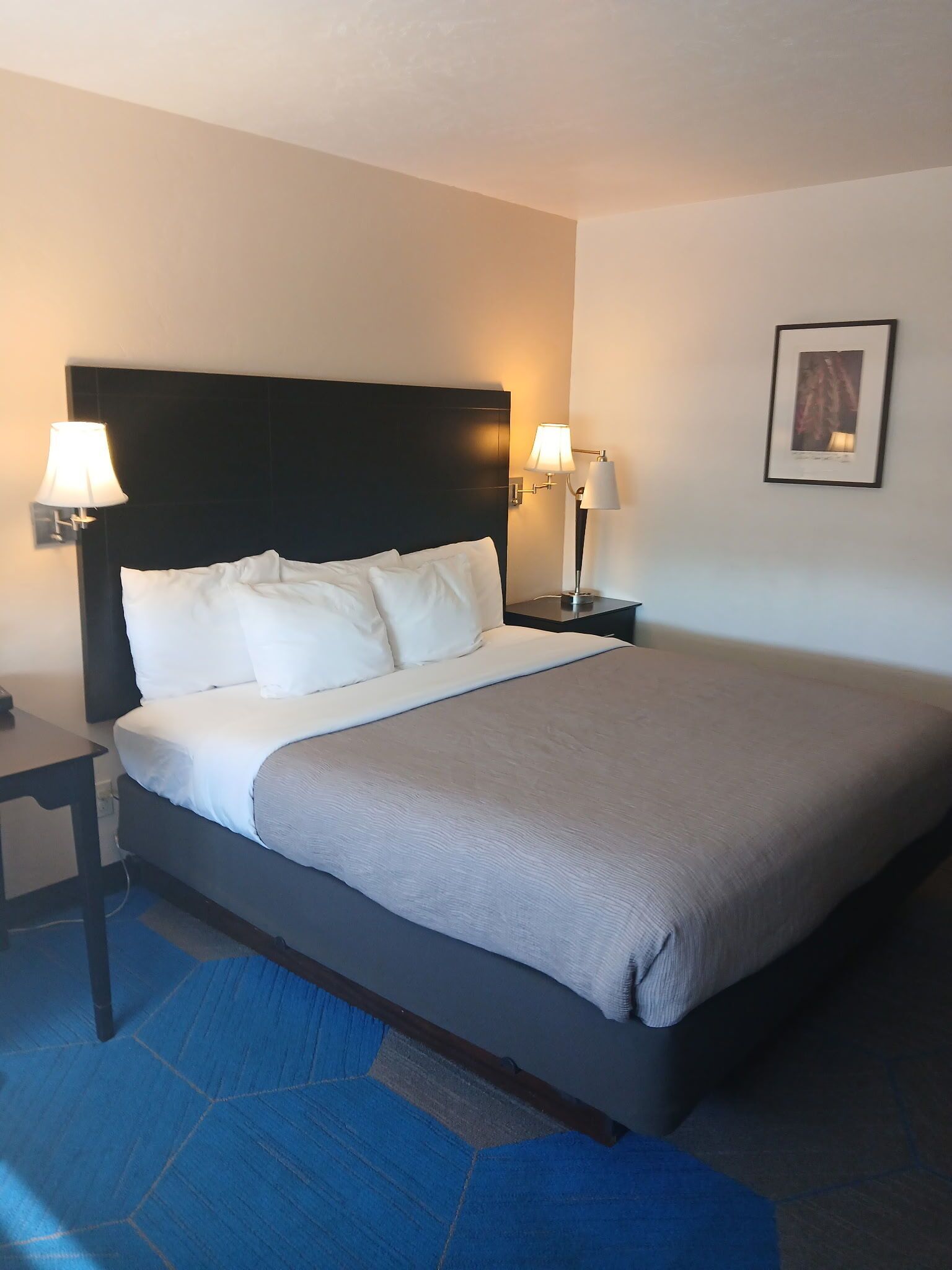 A hotel room with a large bed, two bedside lamps, a nightstand, and a framed picture on the wall.