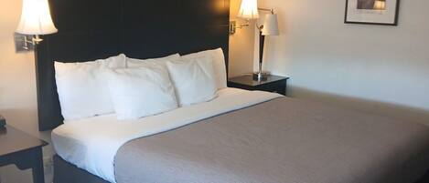 A hotel room with a large bed, two bedside lamps, a nightstand, and a framed picture on the wall.