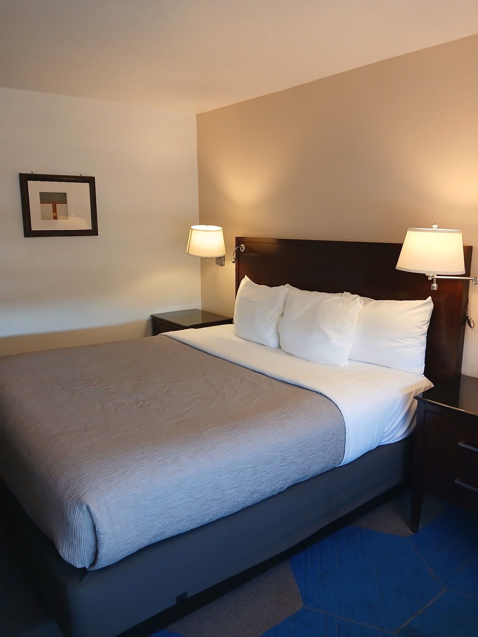 A hotel room with a large bed, two bedside lamps, a framed picture on the wall, and a blue carpet.