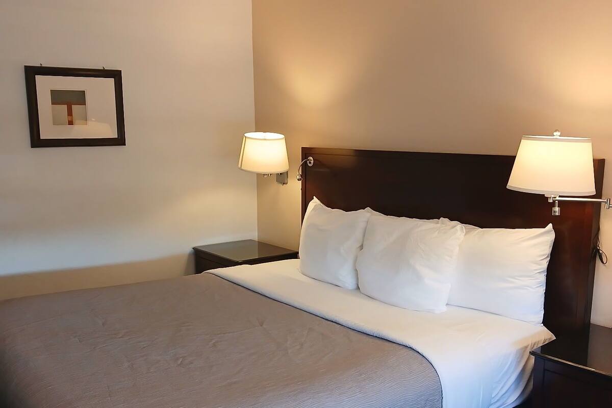 Habitación de hotel con una cama grande, dos lámparas de noche, un cuadro enmarcado en la pared y una alfombra azul.