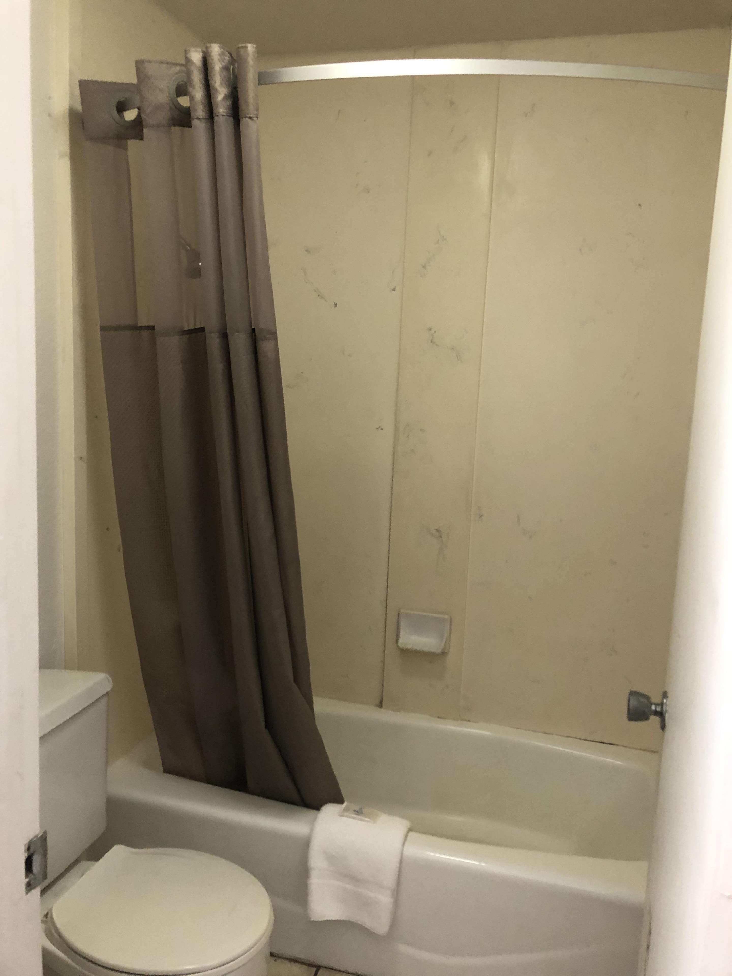 A bathroom with a toilet, a bathtub, and a shower curtain.