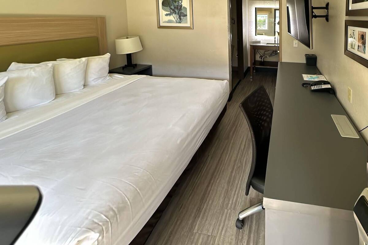 A hotel room with a large bed, a desk with a computer, and a television.
