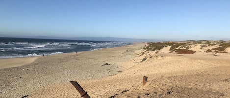 Una playa cerca