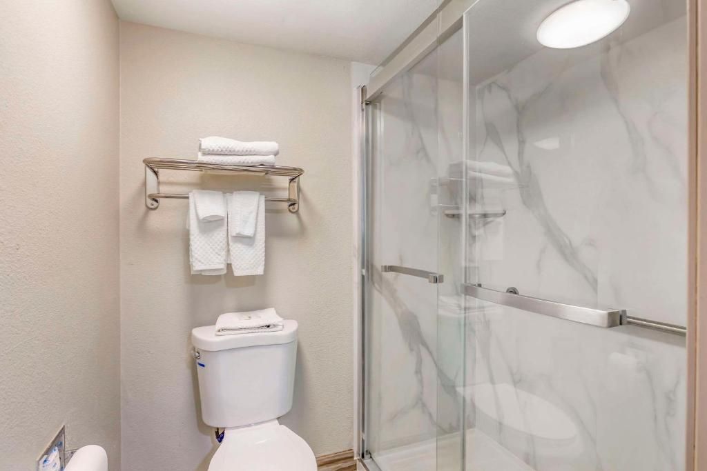 A bathroom with a glass-enclosed shower, a toilet, and a towel rack with folded towels.
