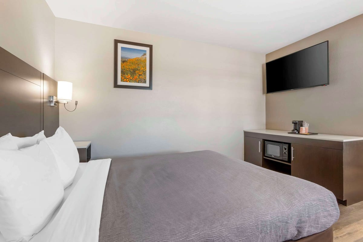 Standard Queen, 1 Queen Bed, Desk, Chair, Non Smoking | Desk, laptop workspace, blackout drapes, soundproofing