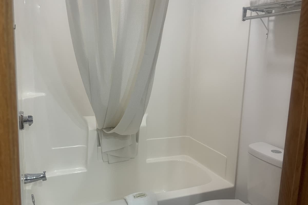 combined shower/bathtub, free toiletries, hair dryer, towels