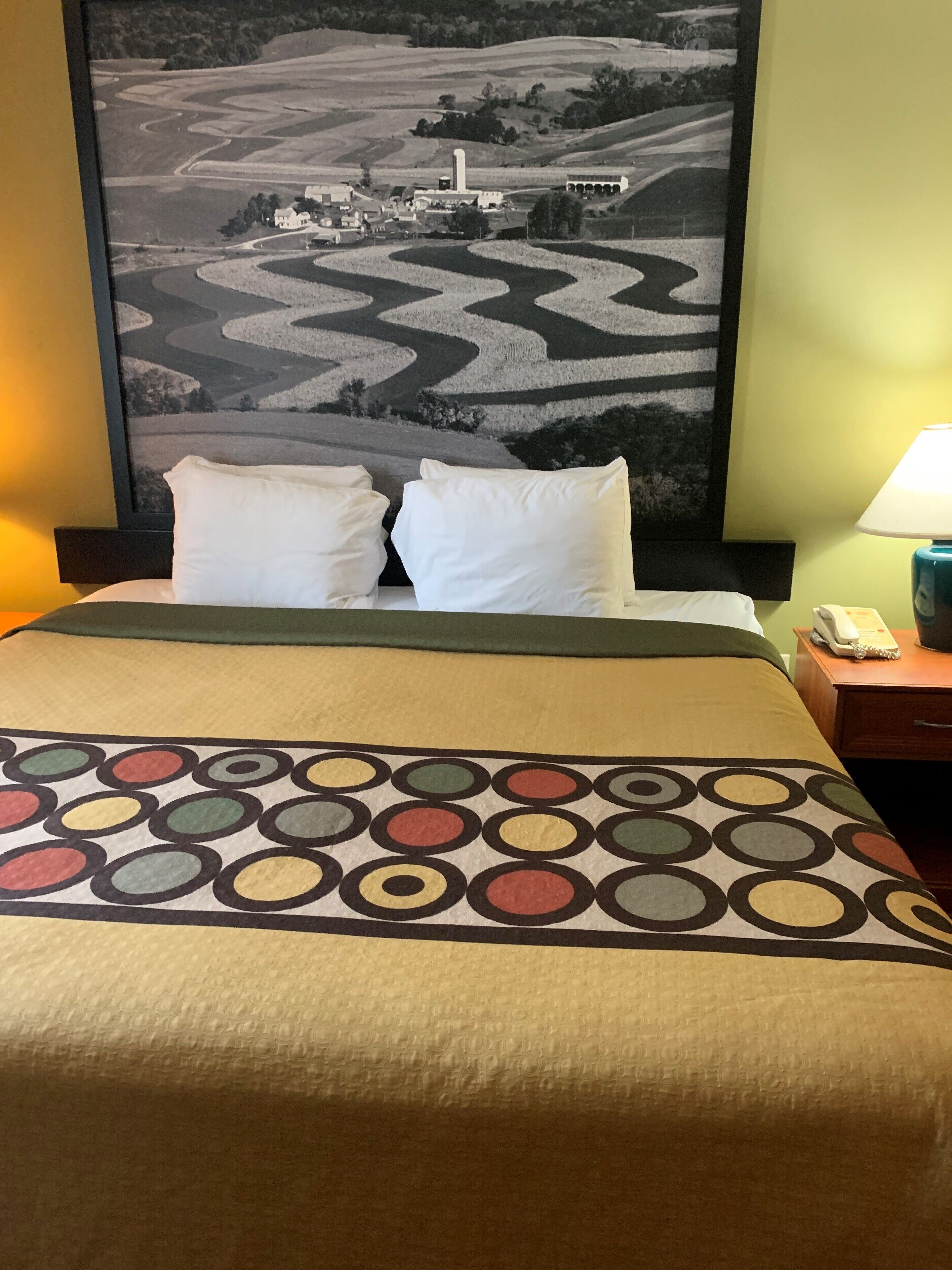 A hotel room with a bed, two pillows, a patterned throw, a nightstand with a lamp, and a framed landscape picture on the wall.