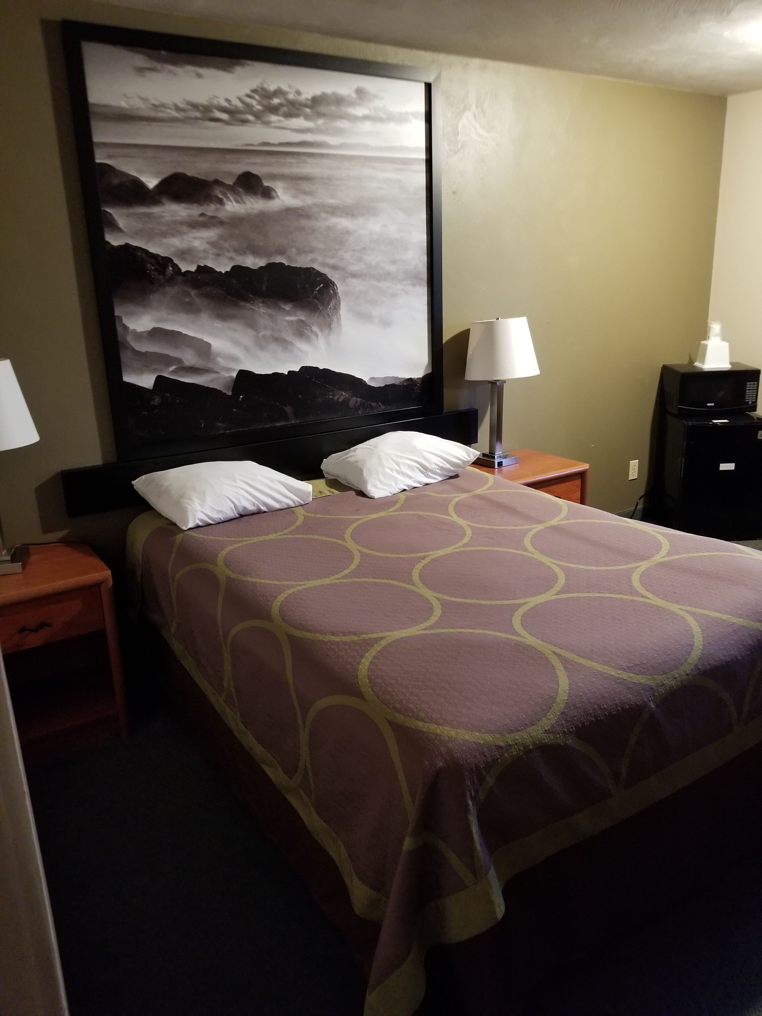 A hotel room with a bed, two nightstands, a lamp, a microwave, and a large painting of a rocky landscape.