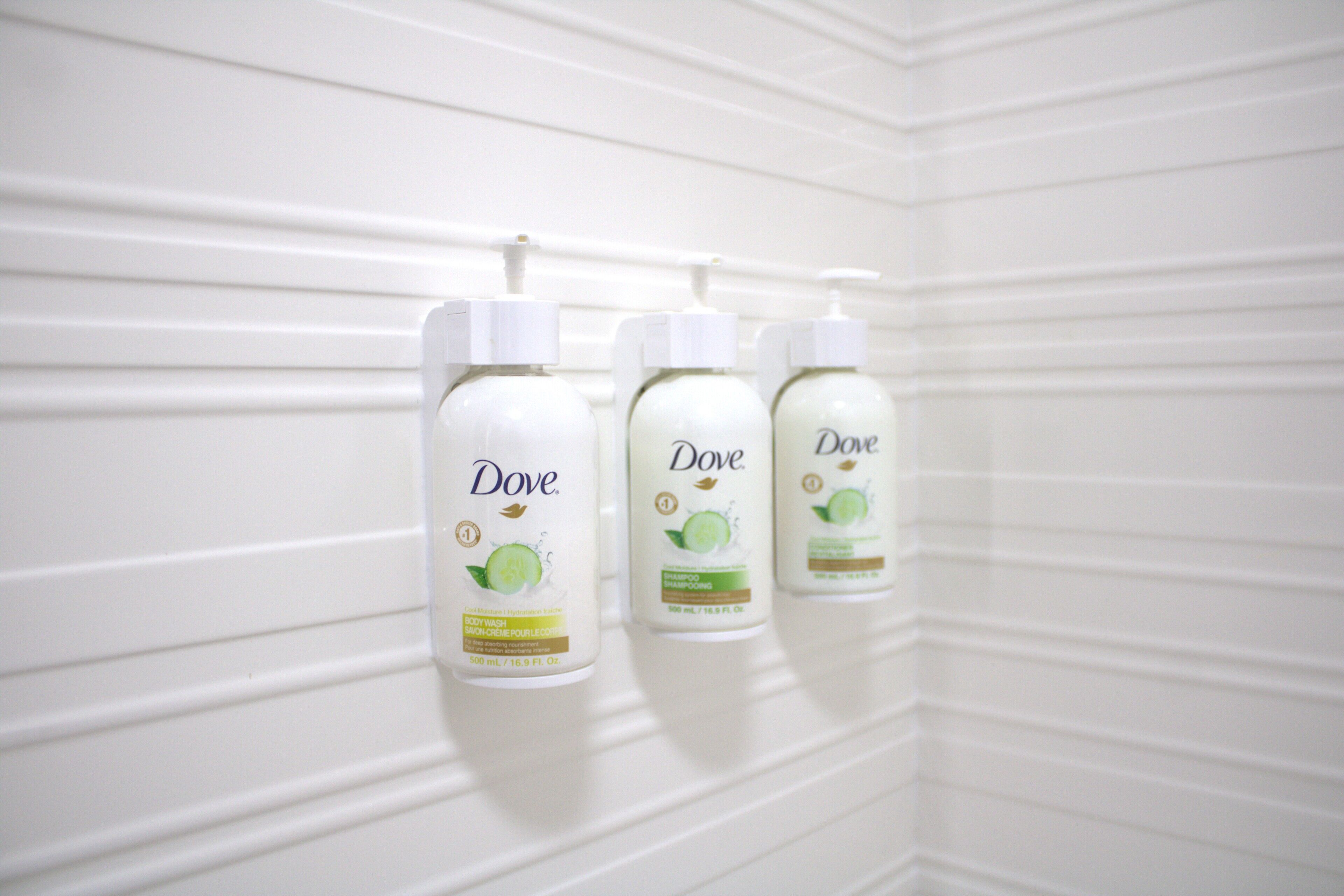 Foto - Baymont Inn & Suites San Marcos