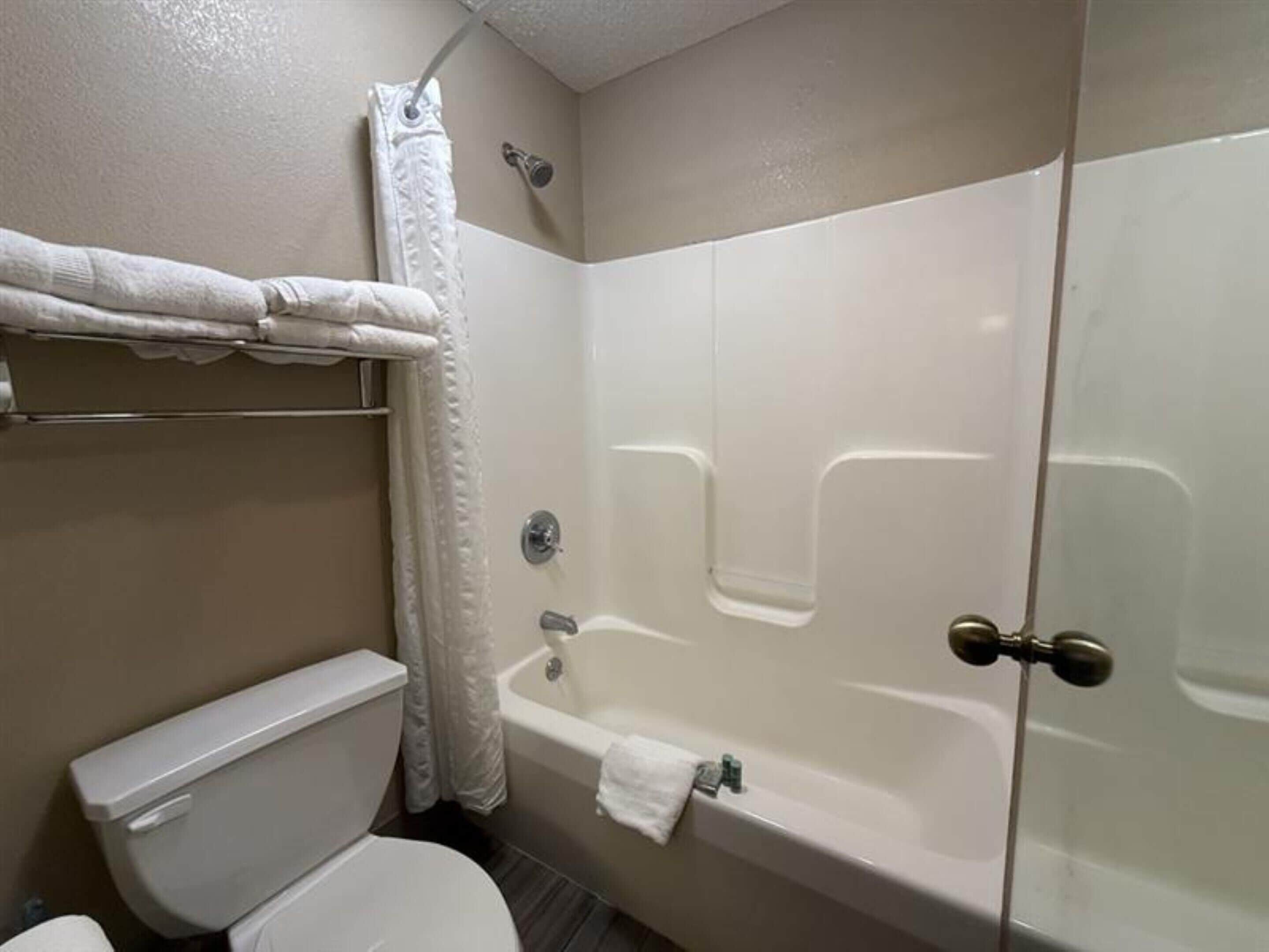 A bathroom with a toilet, a bathtub, and a shower curtain.