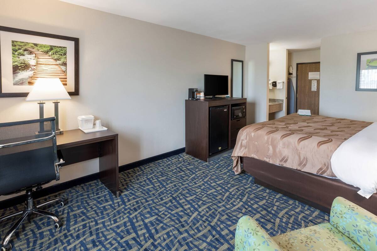 Una habitación de hotel con cama, escritorio, silla, televisor y un cuadro en la pared.