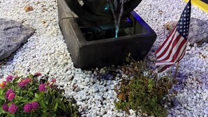 Una fontana con una bandiera americana, circondata da ciottoli e fiori, di fronte a un edificio con un cartello 'NOTICE'.