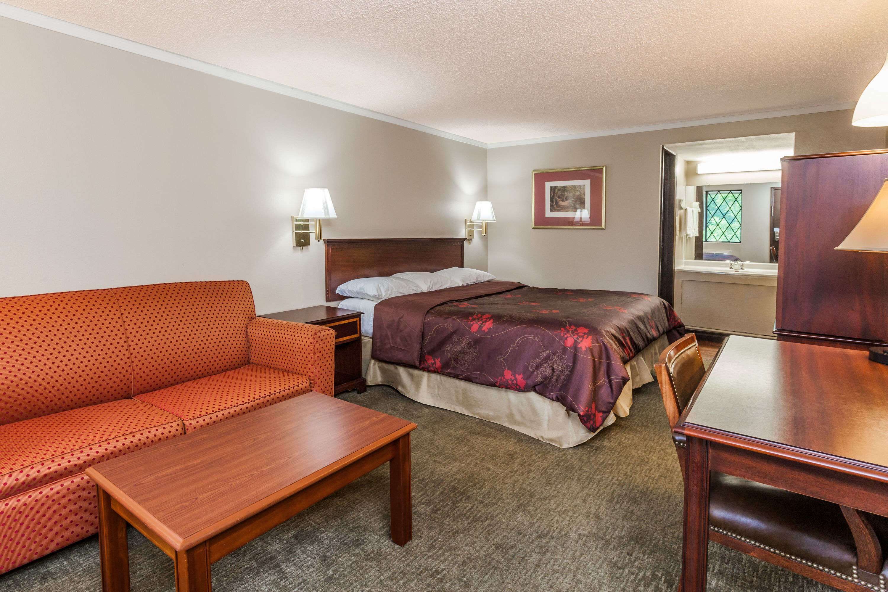 A hotel room with a bed, a sofa, a table, and a desk.