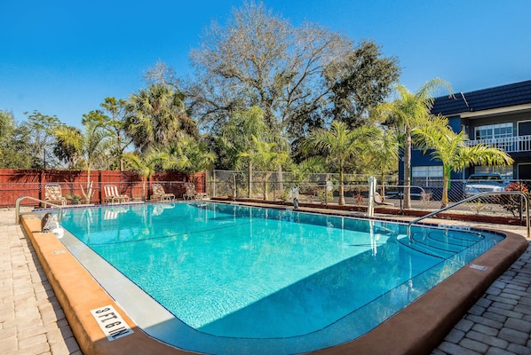 Outdoor pool, sun loungers