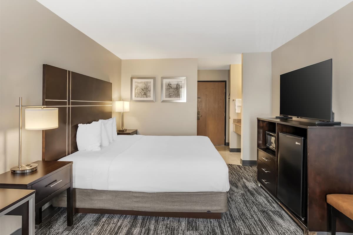 Standard Room, 1 King Bed, Refrigerator & Microwave | Individually decorated, individually furnished, desk, laptop workspace