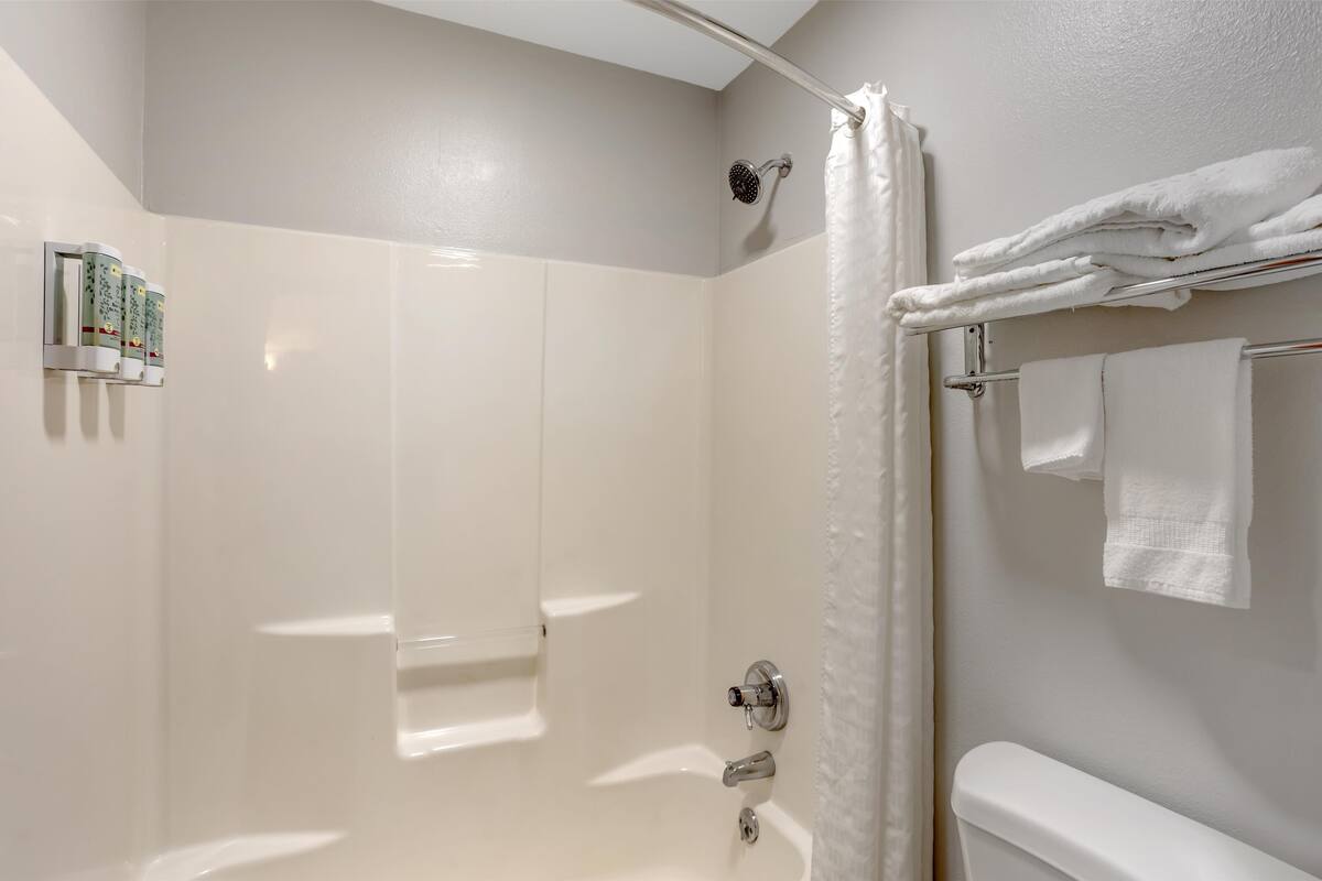 Une salle de bain moderne équipée d’une baignoire, d’une douche et de toilettes.