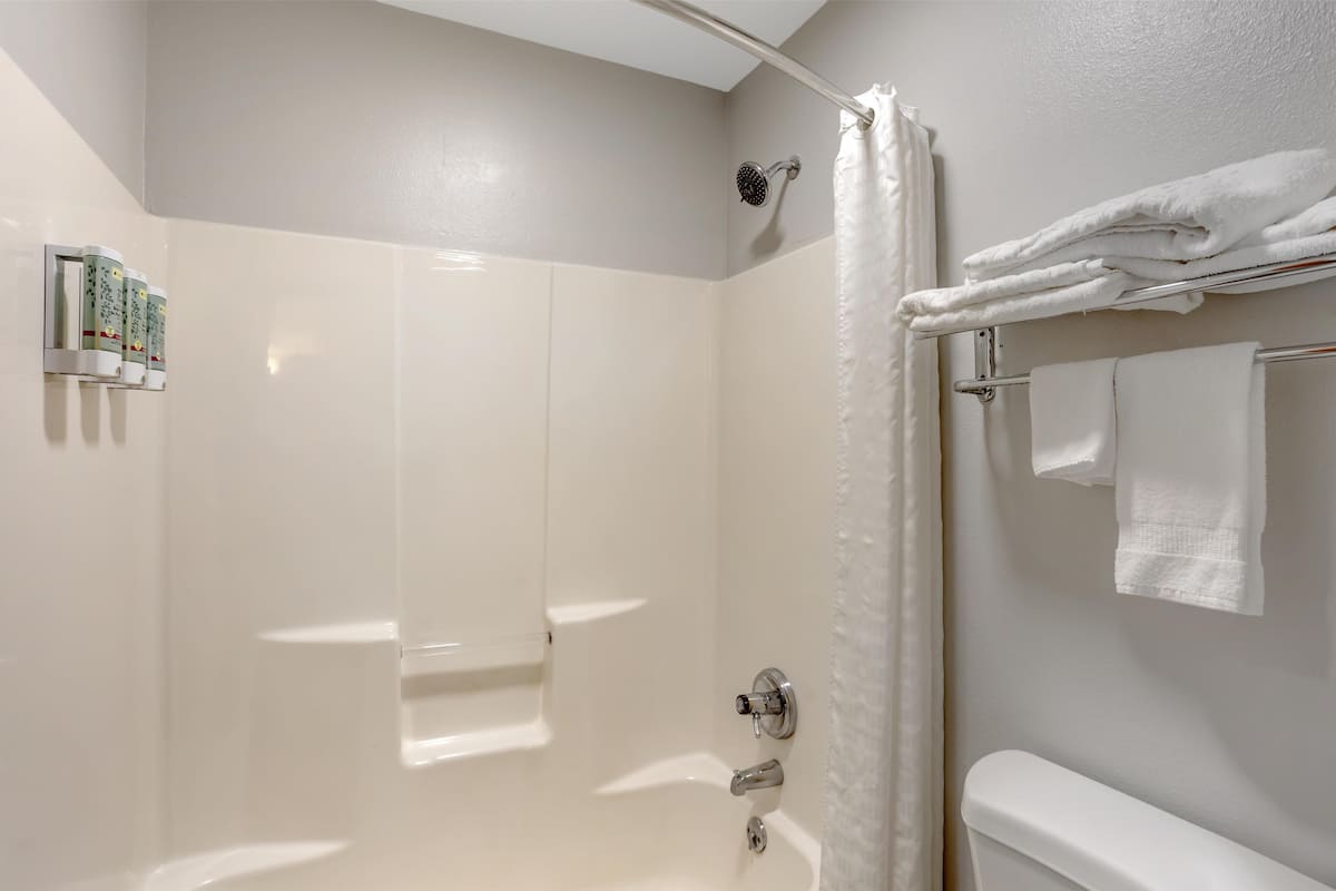 Combined shower/bathtub, hair dryer, towels
