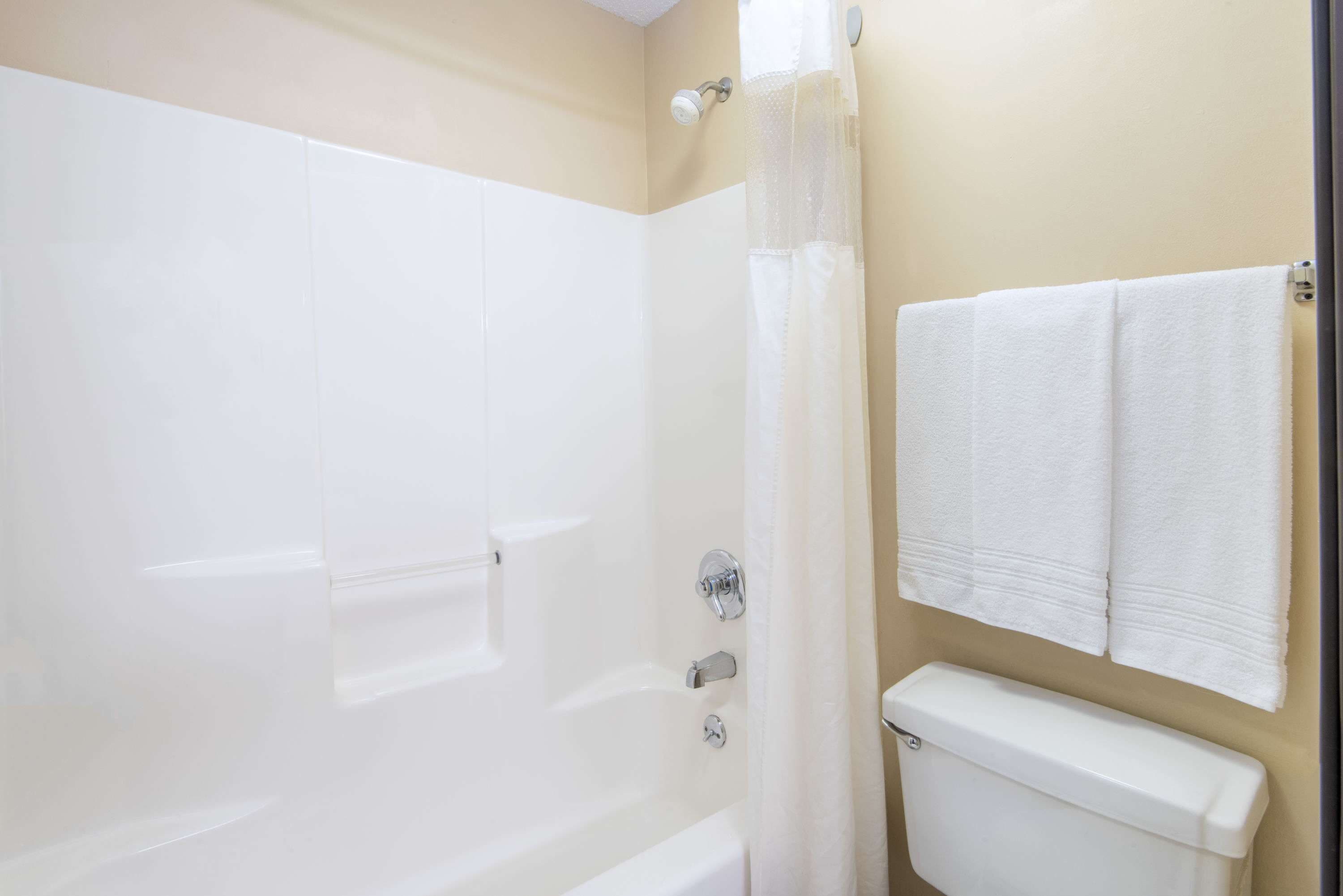 A bathroom with a bathtub, a toilet, and a shower curtain.