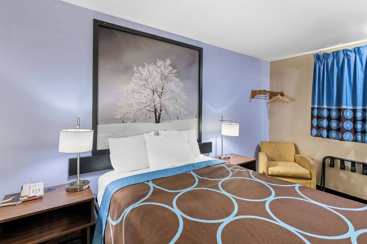 A hotel room with a large bed, two bedside tables, a chair, a painting of a tree, and a blue curtain.