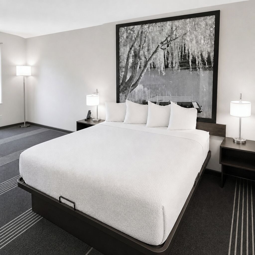 Room, 1 King Bed | Desk, blackout drapes, free WiFi, bed sheets