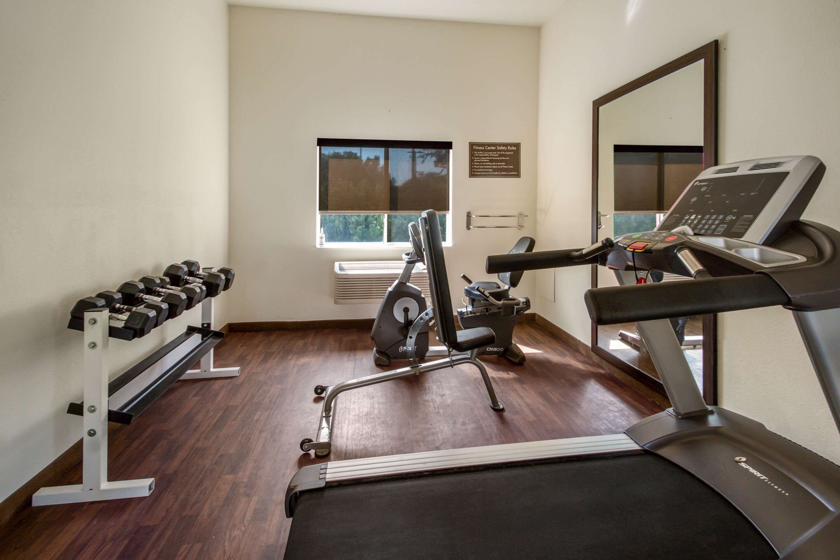 A gym with a treadmill, exercise bike, and dumbbells.