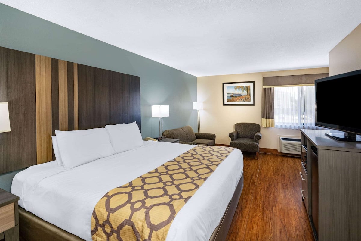 Una habitación de hotel con una cama grande, un escritorio, una silla, un televisor y un cuadro en la pared.