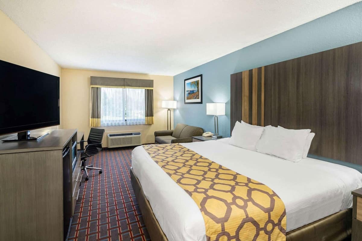 Habitación de hotel con cama, escritorio con televisor, silla, lámpara y ventana con cortinas.