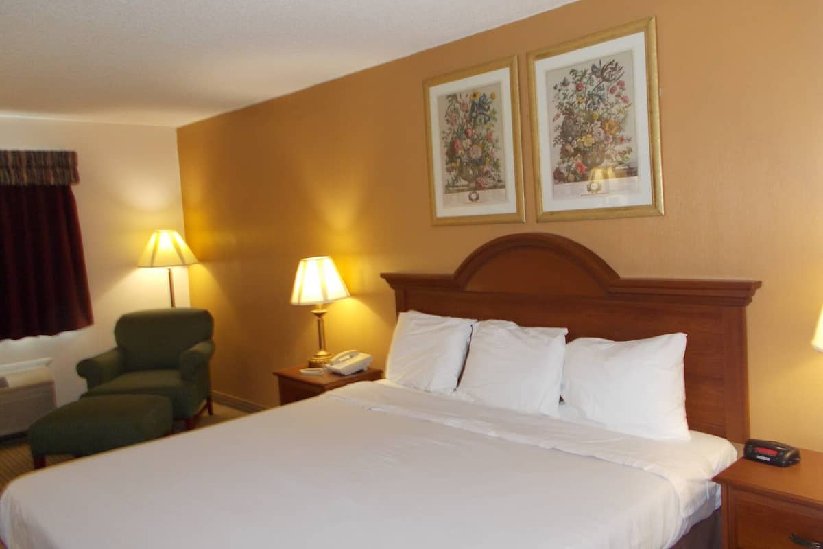 Room, 1 King Bed, Non Smoking, Refrigerator & Microwave | Free WiFi, bed sheets, alarm clocks