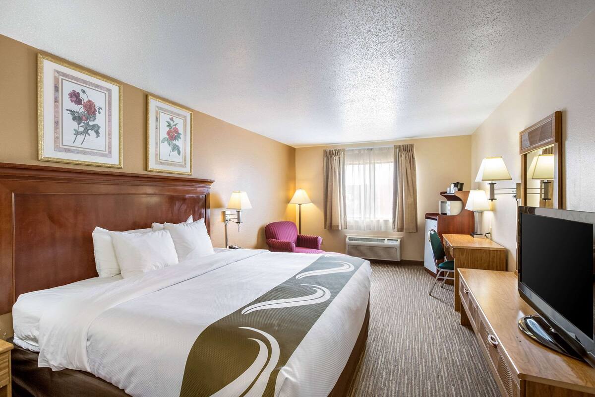 Una habitación de hotel con una cama grande, un escritorio con televisor, una silla, una lámpara de escritorio y dos cuadros con motivos florales en la pared.