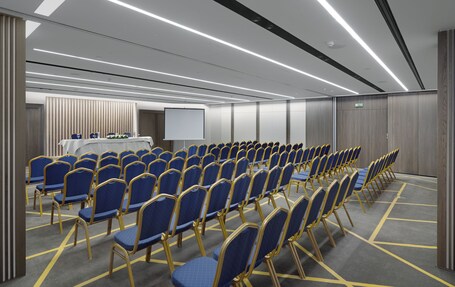 NJV Athens Plaza Hotel - Image 58