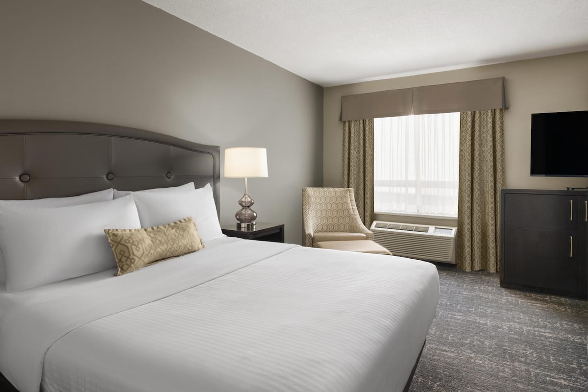 غرفة - سرير كبير - لغير المدخنين - ثلاجة وميكروويف (with Sofabed) | مكواة/لوح كي وأسرّة قابلة للطي وخدمة الإنترنت وملاءات أسرّة