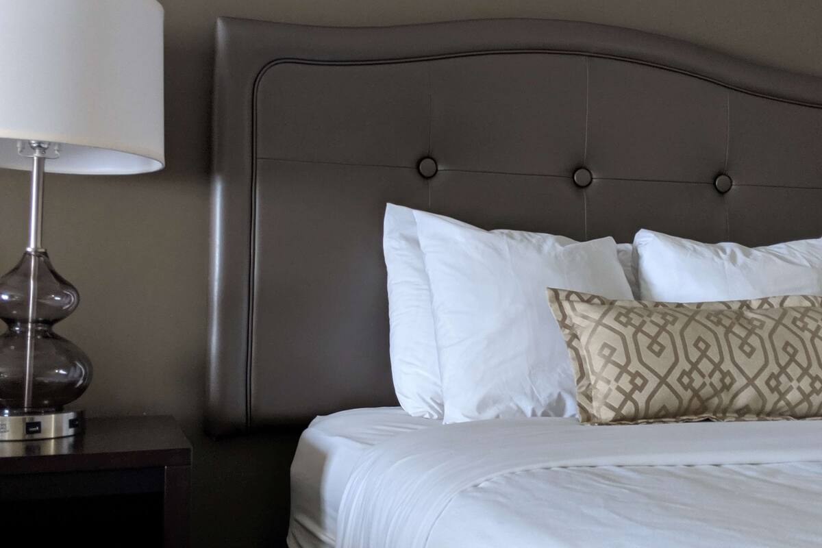 A neatly made bed with white and patterned pillows, a dark headboard, and a lamp on a bedside table.