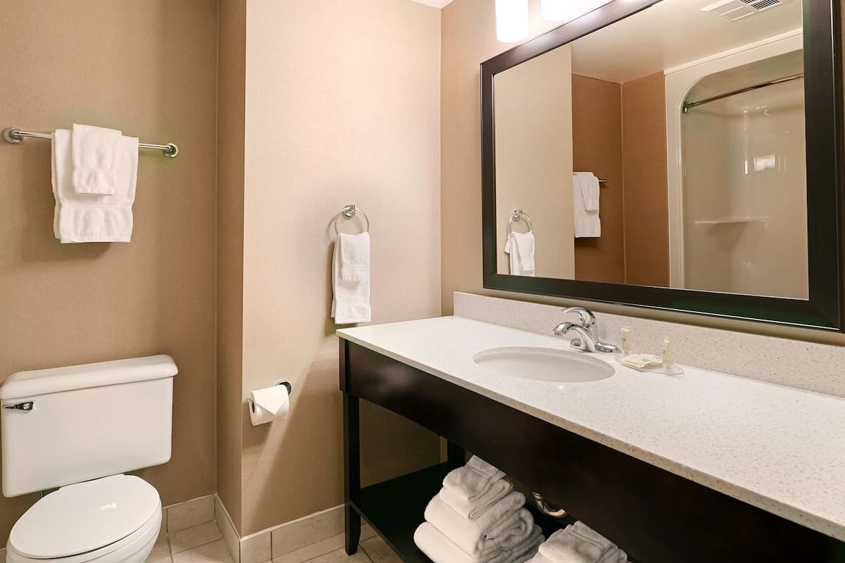 combined shower/bathtub, free toiletries, hair dryer, towels