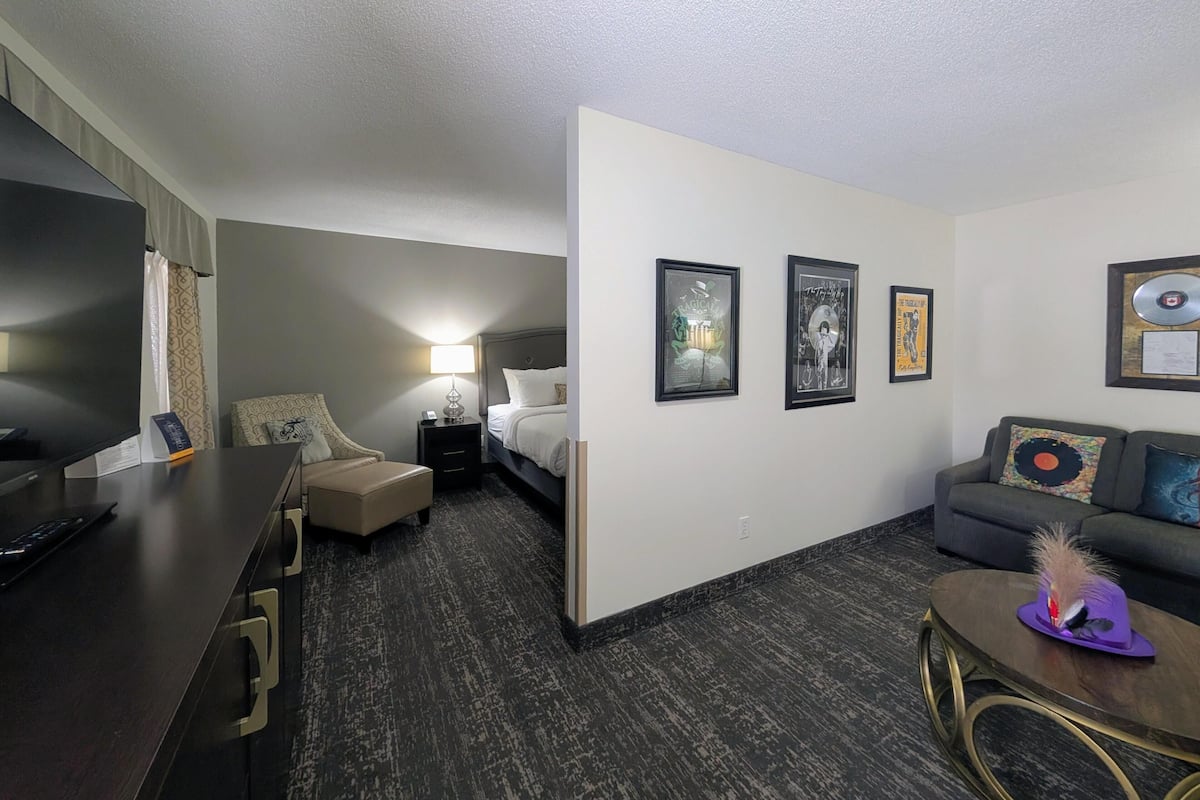 Phòng Suite, 1 giường cỡ king, không hút thuốc, tủ lạnh & lò vi sóng (Theme Room;with Sofabed) | Bàn ủi/dụng cụ ủi quần áo, giường gấp/giường phụ (phụ phí)